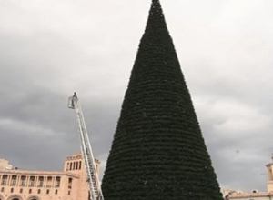 На Площади Республики будет установлена ёлка, праздничного освещения улиц не будет