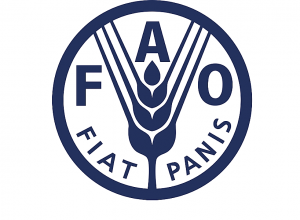 Պարենային ապրանքների համաշխարհային գներն արդեն երկրորդ ամիսն է համեստ նվազում են գրանցել