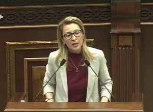 Հորդորում եմ  կասեցնել այս համակարգաքանդ օրինագծի նախաձեռնությունը. Մանե Թանդիլյան