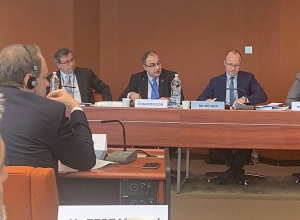 Վլադիմիր Վարդանյանն ընտրվեց ԵԽԽՎ Մարդու իրավունքների ենթահանձնաժողովի նախագահ․ Ռուբեն Ռուբինյան