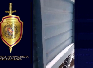 Գորիսի ոստիկաններն ապօրինի ծառահատման դեպք են բացահայտել