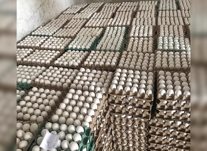 Уничтожено 54000 просроченных яиц