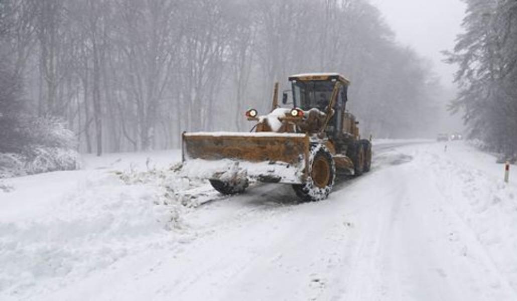 86872730_191309205425098_1127799691136729088_n