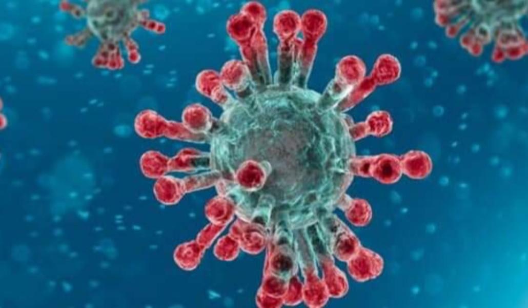 FB_IMG_1581065783102