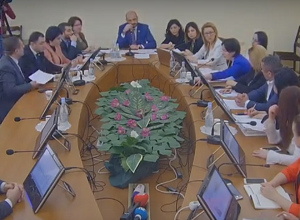 Заседание Постоянной комиссии здравоохранения и по социальным вопросам: прямой эфир