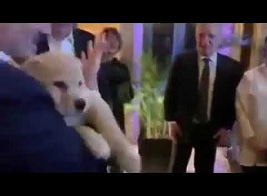 Վրաստանի վարչապետի թանկագին նվերը՝ Փաշինյանին