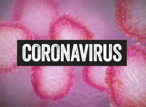 The Ministry of Health invokes