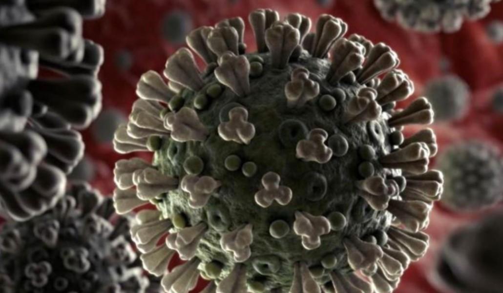 կորոնավիրուս