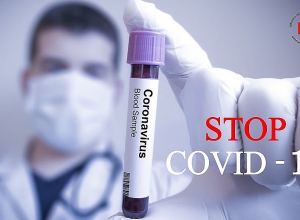 Global mobilization of Armenian resources against the COVID-19 pandemic