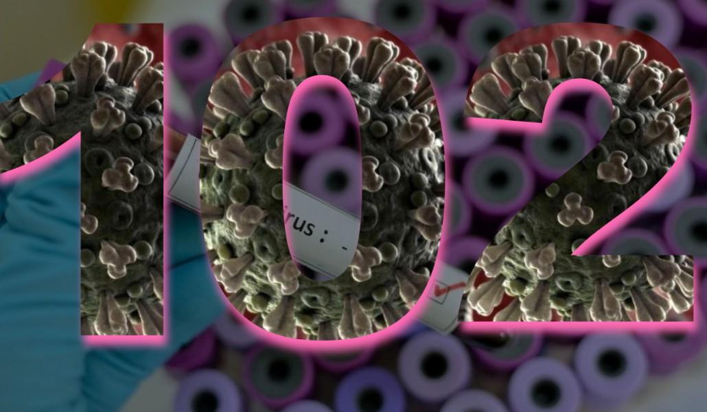 Untitled designhgchgchc