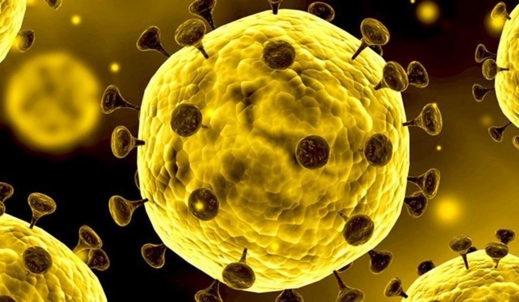 կորոնավիրուս