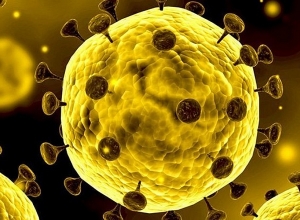 Ինչպես է իրականացվում Կորոնավիրուսի ճշգրիտ ախտորոշումը