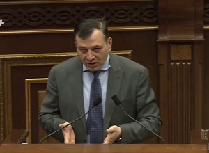 Ձեր օրենքի նախագիծը չի կարող աշխատել․ իմքայլականը՝ Անի Սամսոնյանին