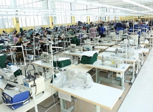 All 2 650 employees continue their regular work activities - Director of Gloria Sewing Factory