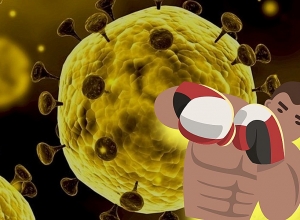 Coronavirus case confirmed in boxing team of Armenia