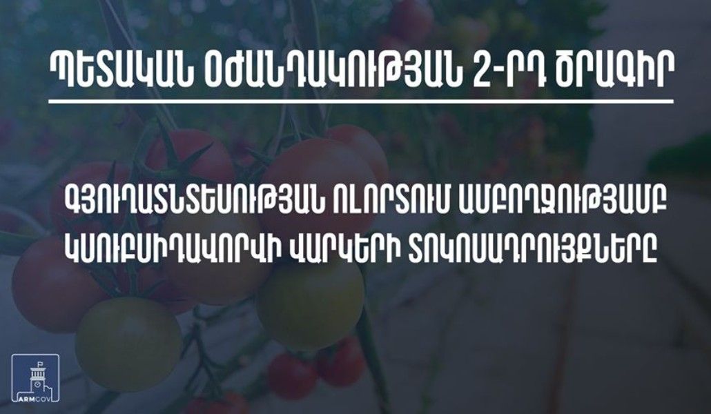 91401490_2971967842826260_2189567584402145280_o