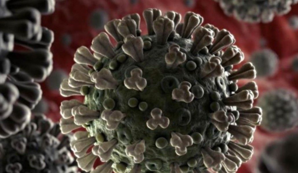 կորոնավիրուս