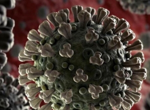 COVID-19; letter of notification on opened account