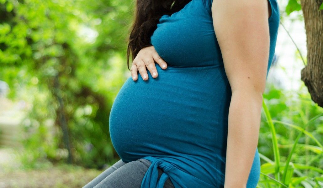 pregnantcrop