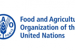 Food prices fall in March