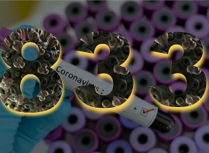 В Армении 833 подтвержденных случая коронавируса