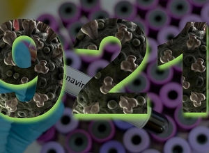 Подтвержденные случаи коронавируса сегодня