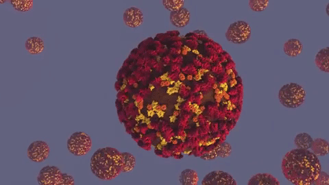 886․996․095 drams raised for account dedicated to financial support for prevention coronavirus