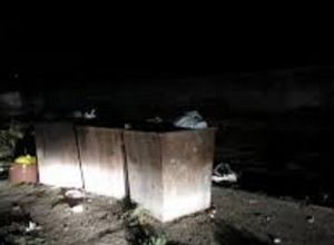 Выбросили шины в мусорный бак, предусмотренный для бытового мусора