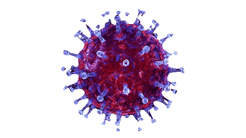 կորոնավիրուս (2)