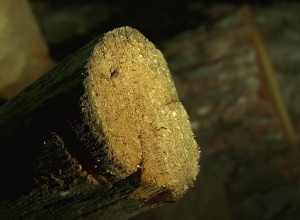 Ոստիկանության ծառայող է ձերբակալվել․ապօրինություններ ոստիկանության Գուգարքի և Բազումի բաժիններում․