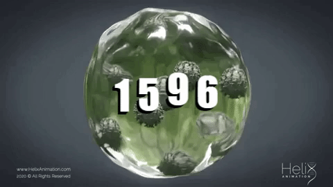 Коронавирус: картина на сегодня