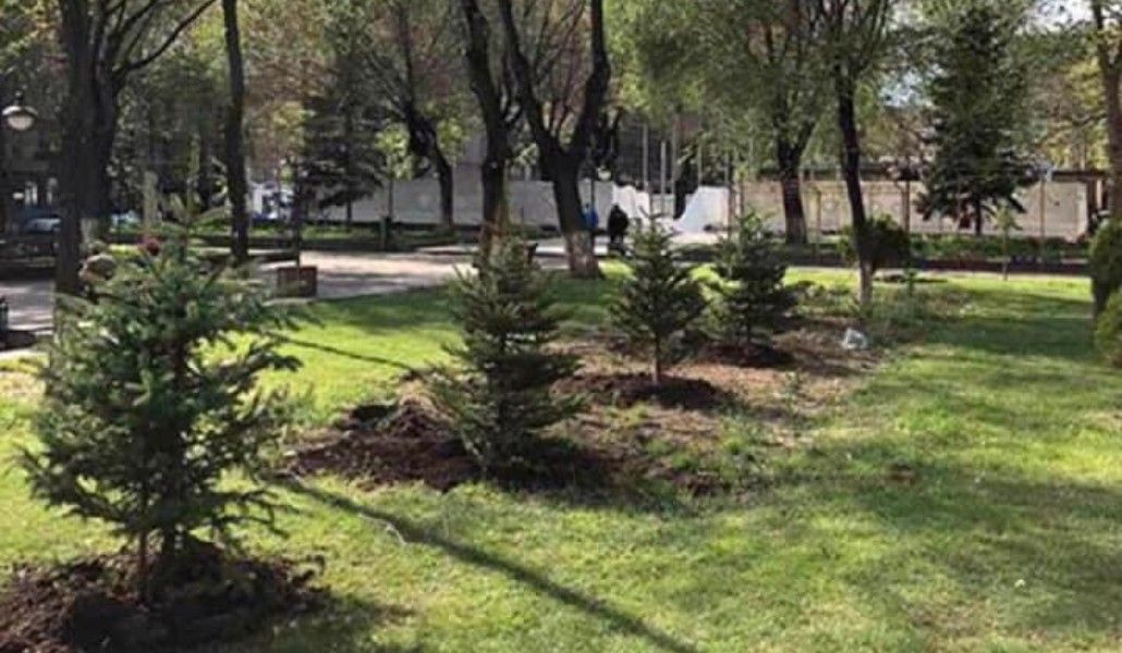 95237701_157265815823448_549429705611149312_n