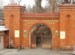 Բուսաբանության ինստիտուտը դեմ է  ձուլարանի կառուցմանը