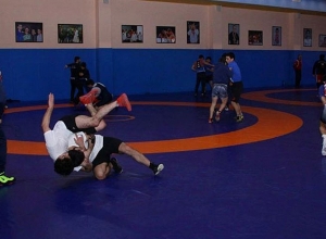 Հայաստանի 35 մարզական ֆեդերացիաներ կարող են վերսկսել մարզումները