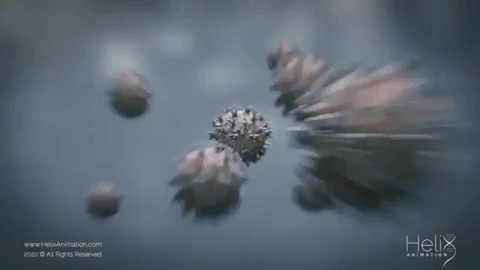 В аппарате НС у нас есть носитель вируса, он изолирован: Арарат Мирзоян