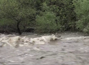 Դեբեդը նորից գժվել է