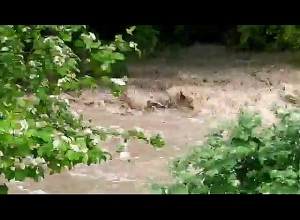 Աղստև գետն ընկած ավտոմեքենայի որոնողական աշխատանքները շարունակվում են