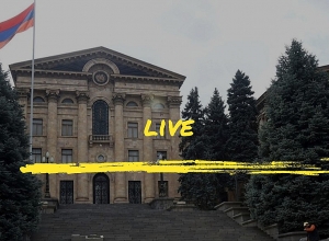 Заседание Постоянной комиссии НС по защите прав человека и общественным вопросам: ПРЯМОЙ ЭФИР