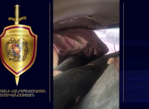 Полицейские Алаверди раскрыли очередной случай незаконной вырубки деревьев