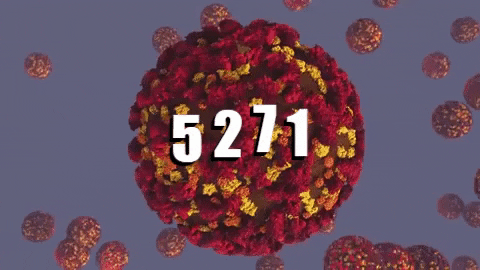 За один день зафиксировано 230 новых случаев коронавируса