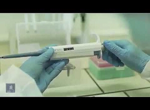 Մոլեկուլային կենսաբանության ինստիտուտը շուտով կսկսի կորոնավիրուսն ախտորոշող թեստերի արտադրությունը