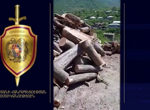 Ապօրինի փայտանյութով արտադրամասեր են հայտնաբերվել․ Տավուշի մարզի ոստիկանների բացահայտումները