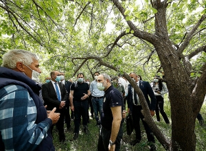 Премьер-министр посетил Араратскую область: прямой эфир