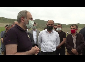 Նարեկ համայնք՝ խաղողի, ծիրանի, դեղձի նորատունկ այգիներ