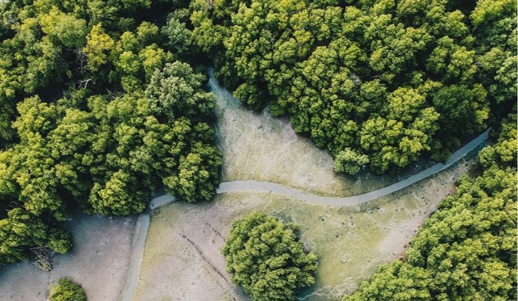 102372014_2483907901857891_3653526832424157184_o