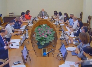 Заседание постоянной комиссии НС по вопросам здравоохранения и социальным вопросам: ПРЯМОЙ ЭФИР