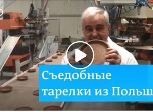 Ուտելի ափսեներ՝ պլաստիկի փոխարեն