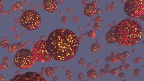 В Армении подтвержден 2441 новый случай коронавирусного заболевания, 22 человека умерли