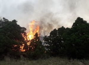 В Хосровском заповеднике замечен дым: в воздух подняли беспилотник