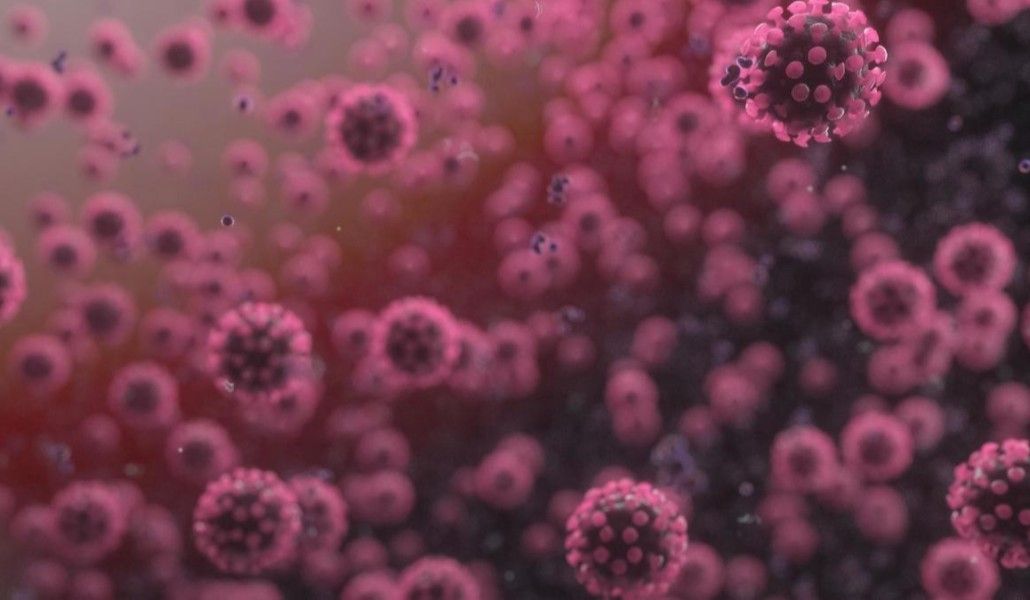 կորոնավիրուս